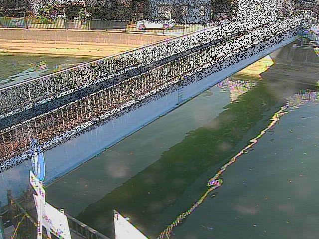 鷹取川人道橋付近のカメラ画像