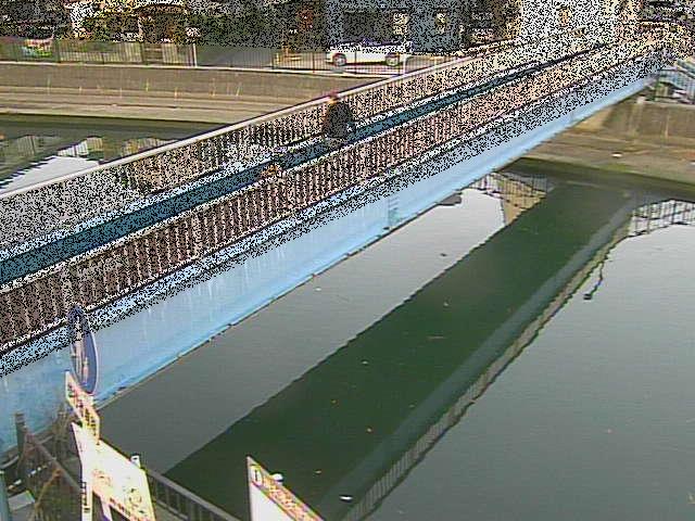 鷹取川 鷹取川人道橋付近のカメラ画像