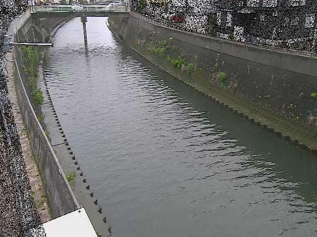 平作川 根岸歩道橋付近のカメラ画像