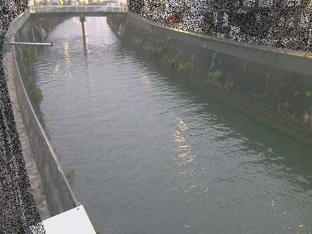 根岸歩道橋付近のカメラ画像