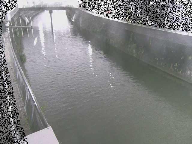 根岸歩道橋付近のカメラ画像