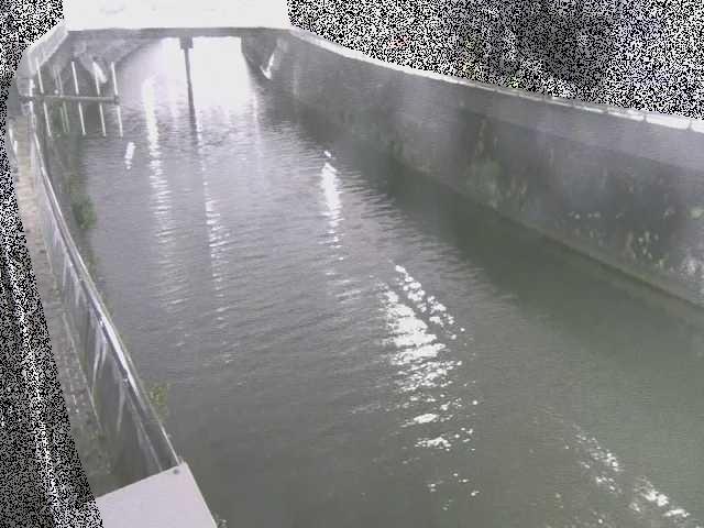 根岸歩道橋付近のカメラ画像