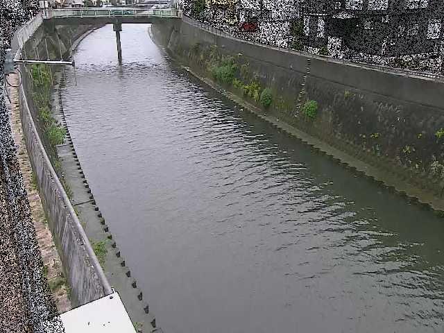 根岸歩道橋付近のカメラ画像