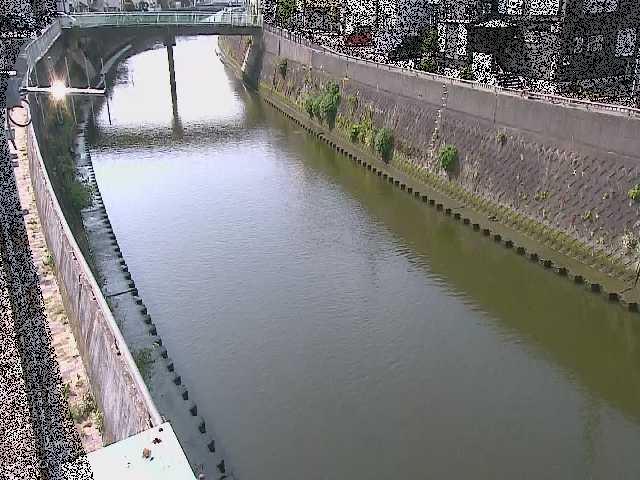 根岸歩道橋付近のカメラ画像