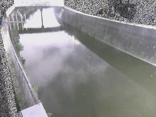 根岸歩道橋付近のカメラ画像