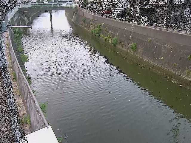 根岸歩道橋付近のカメラ画像