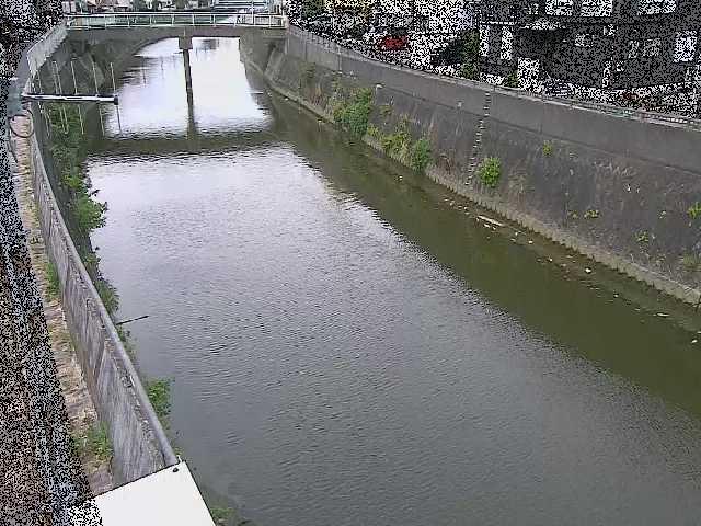 根岸歩道橋付近のカメラ画像