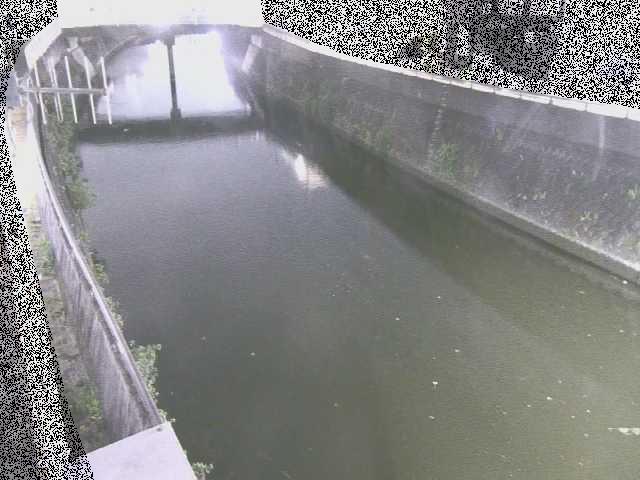 根岸歩道橋付近のカメラ画像
