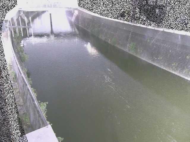 平作川 根岸歩道橋付近のカメラ画像