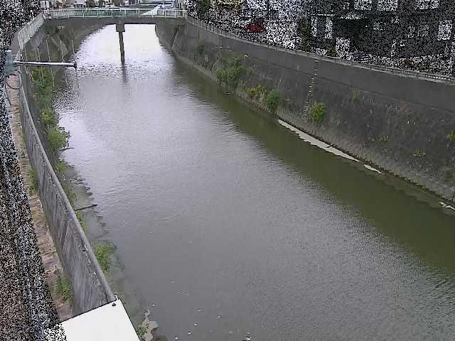 平作川 根岸歩道橋付近のカメラ画像