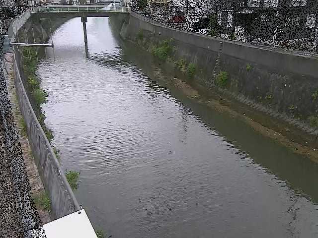 根岸歩道橋付近のカメラ画像
