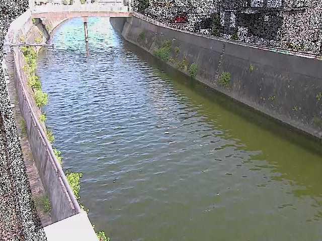 平作川 根岸歩道橋付近のカメラ画像
