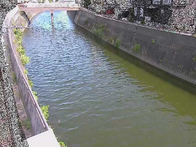 根岸歩道橋付近のカメラ画像
