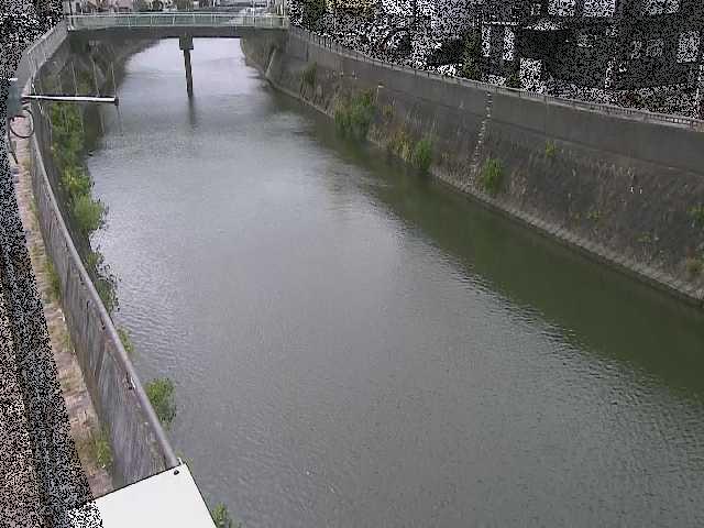 根岸歩道橋付近のカメラ画像