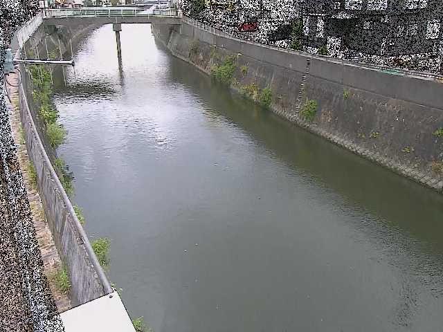 根岸歩道橋付近のカメラ画像