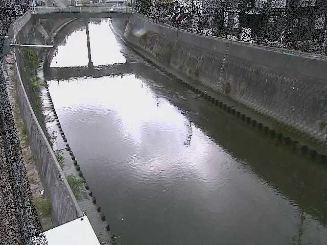 根岸歩道橋付近のカメラ画像