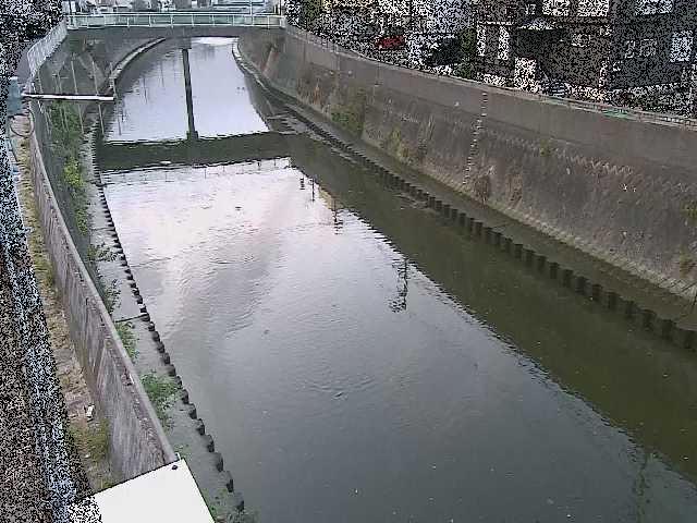 根岸歩道橋付近のカメラ画像