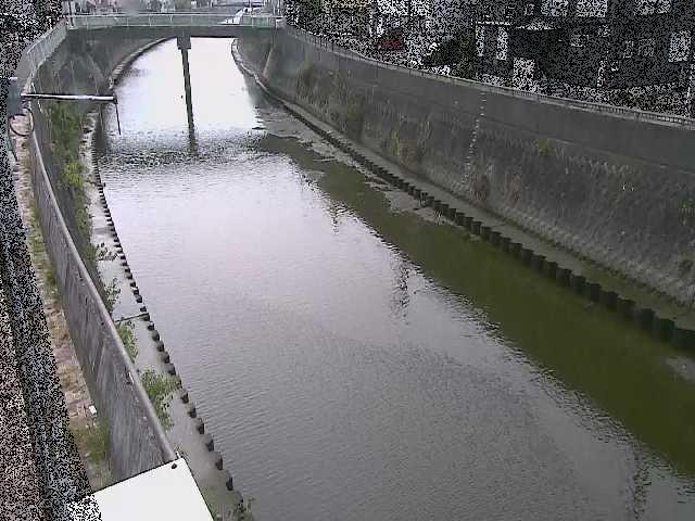 根岸歩道橋付近のカメラ画像