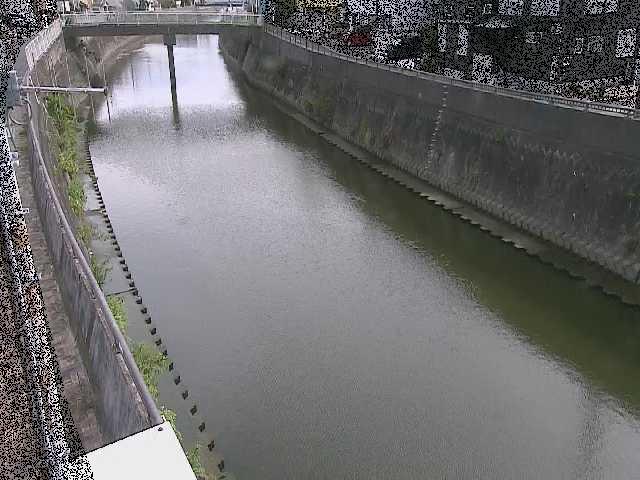 根岸歩道橋付近のカメラ画像