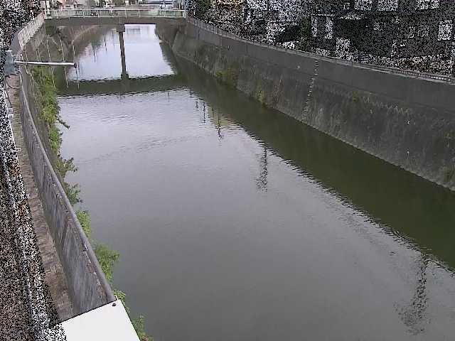 根岸歩道橋付近のカメラ画像