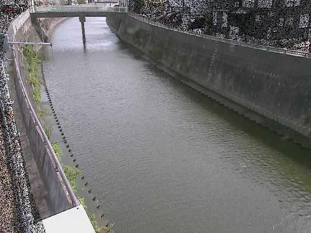 平作川 根岸歩道橋付近のカメラ画像