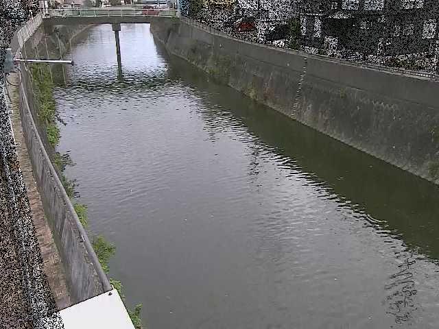 根岸歩道橋付近のカメラ画像
