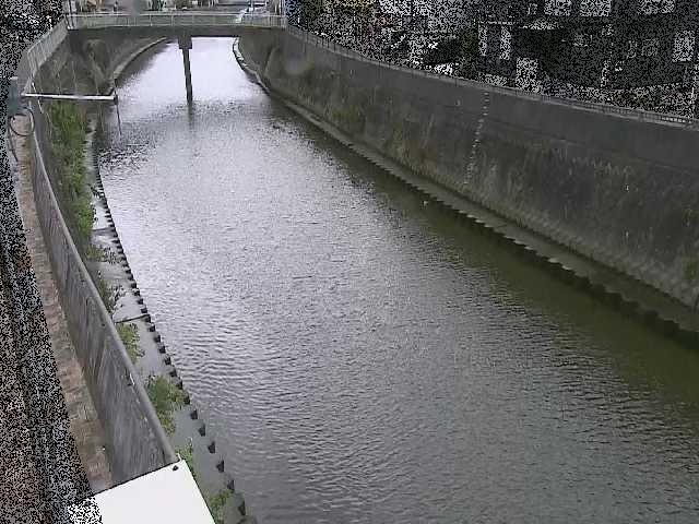 根岸歩道橋付近のカメラ画像