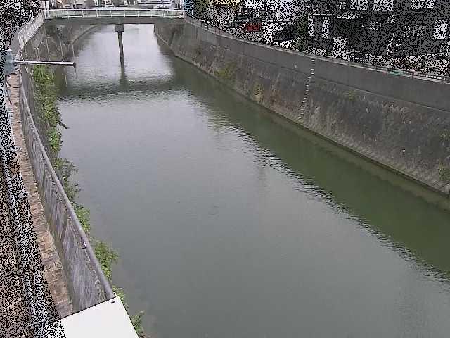 平作川 根岸歩道橋付近のカメラ画像
