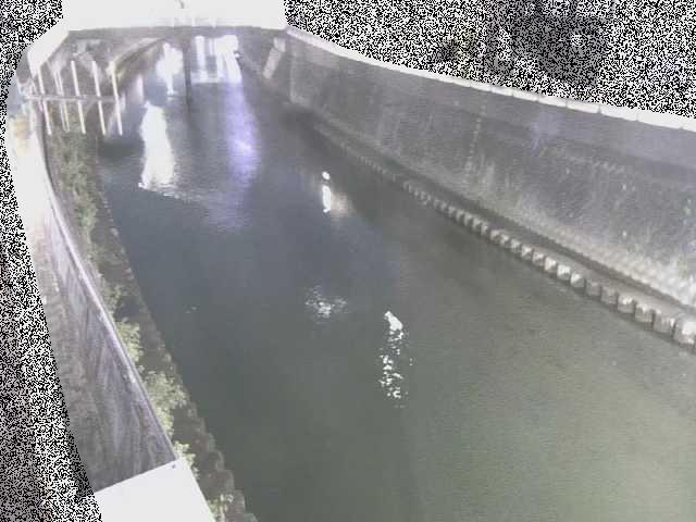 平作川 根岸歩道橋付近のカメラ画像