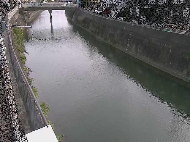 根岸歩道橋付近のカメラ画像