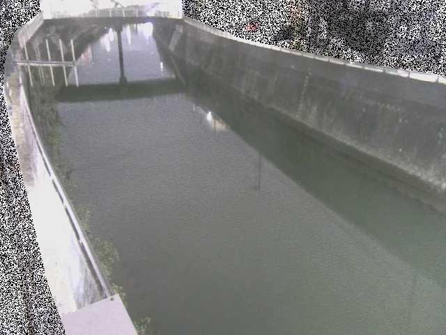 根岸歩道橋付近のカメラ画像