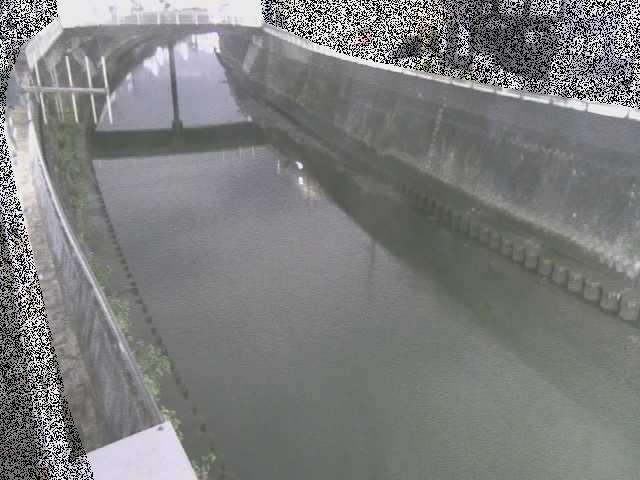 根岸歩道橋付近のカメラ画像