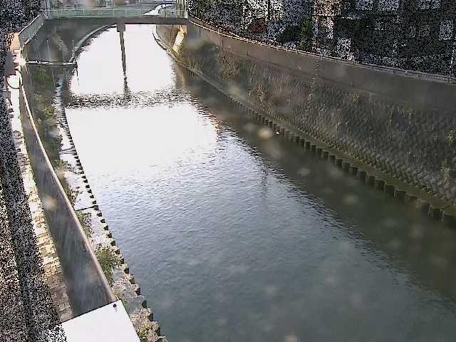 根岸歩道橋付近のカメラ画像