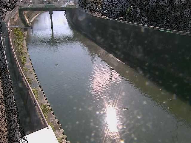 根岸歩道橋付近のカメラ画像