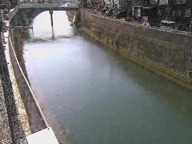 根岸歩道橋付近のカメラ画像