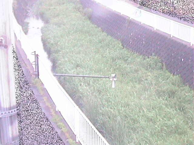 田越川 堰橋付近のカメラ画像