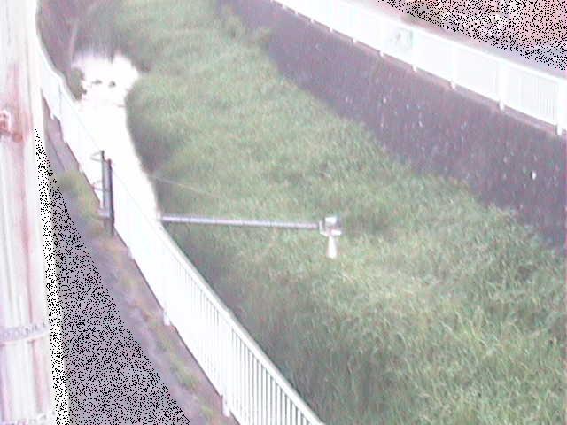 田越川 堰橋付近のカメラ画像