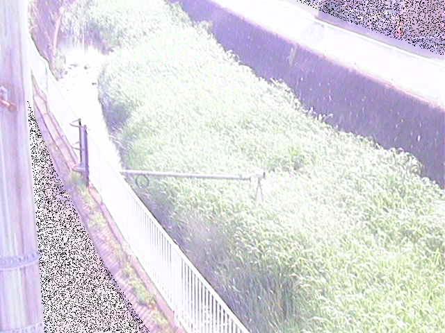 田越川 堰橋付近のカメラ画像