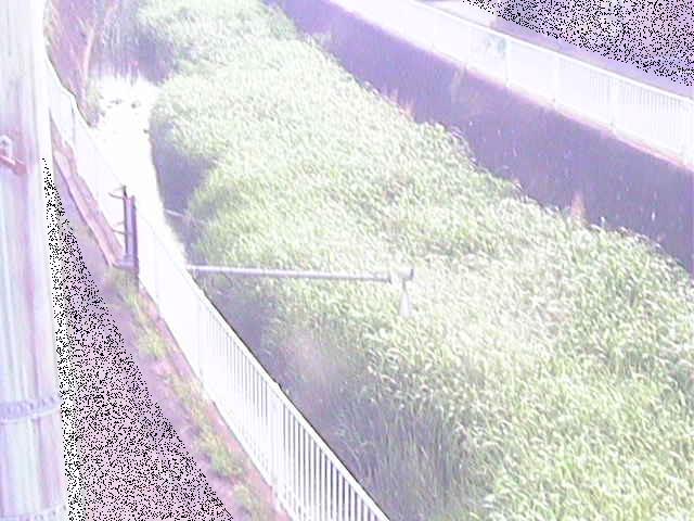 田越川 堰橋付近のカメラ画像