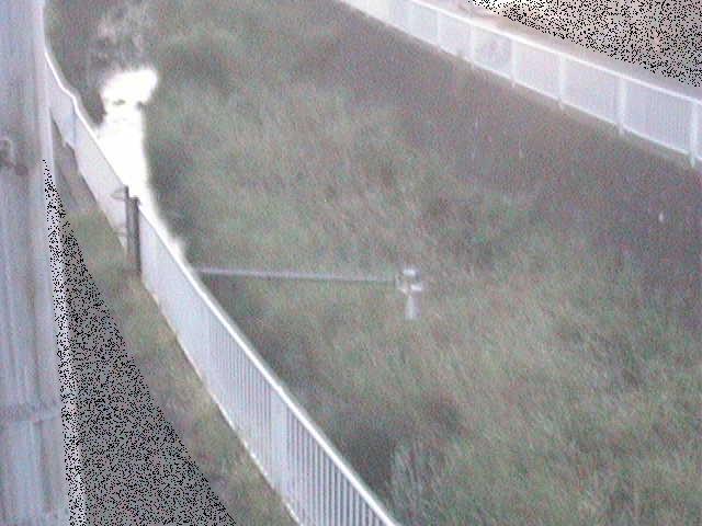 田越川 堰橋付近のカメラ画像