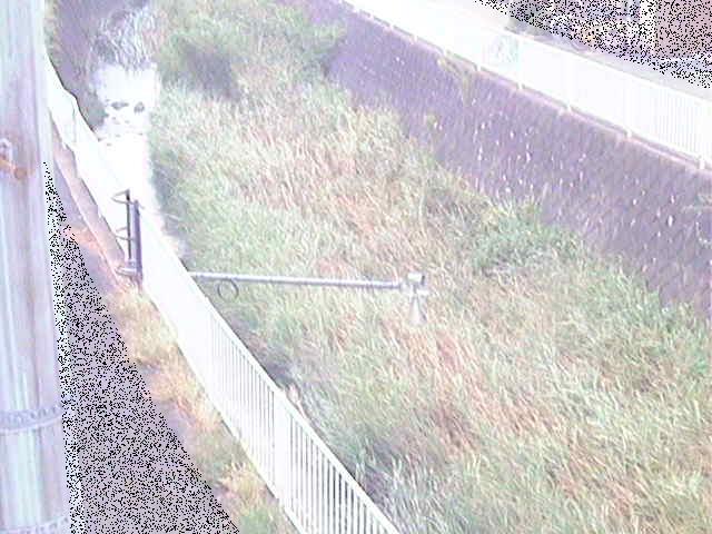 田越川 堰橋付近のカメラ画像