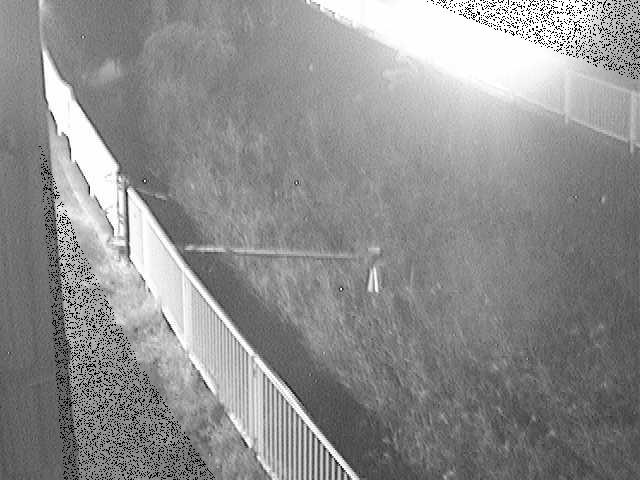 田越川 堰橋付近のカメラ画像