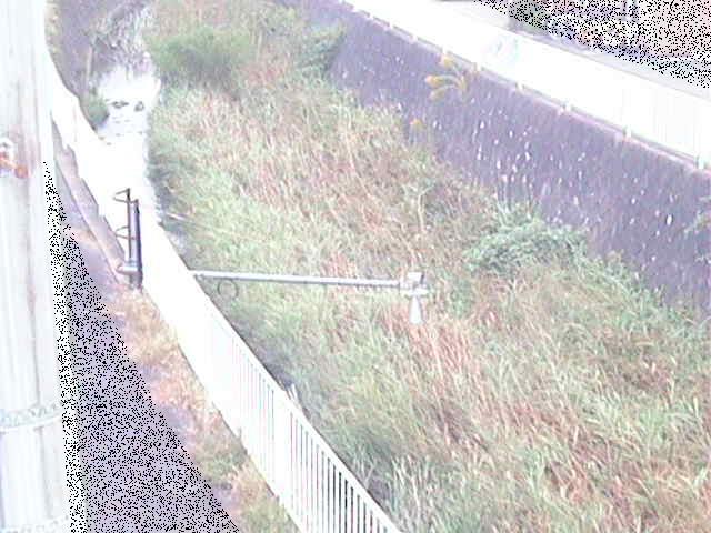 田越川 堰橋付近のカメラ画像