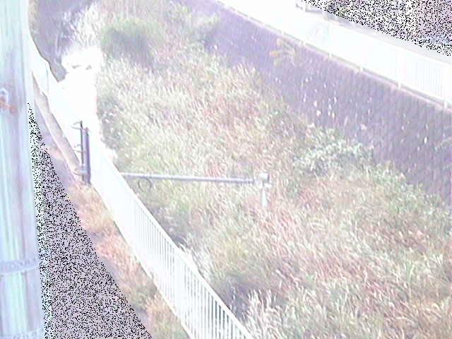 堰橋付近のカメラ画像