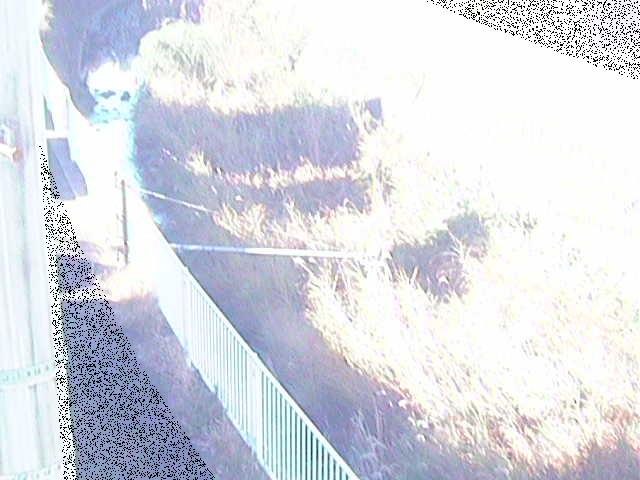 堰橋付近のカメラ画像