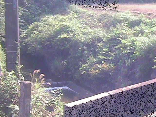 星山橋付近のカメラ画像
