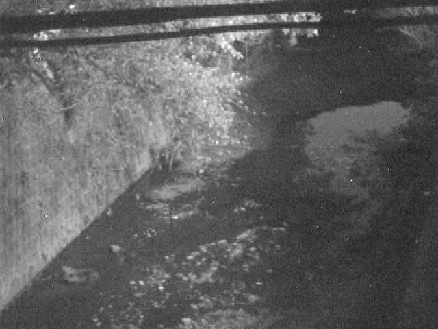 森戸川 下小路橋付近のカメラ画像