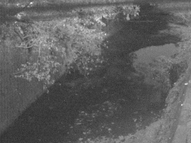 森戸川 下小路橋付近のカメラ画像