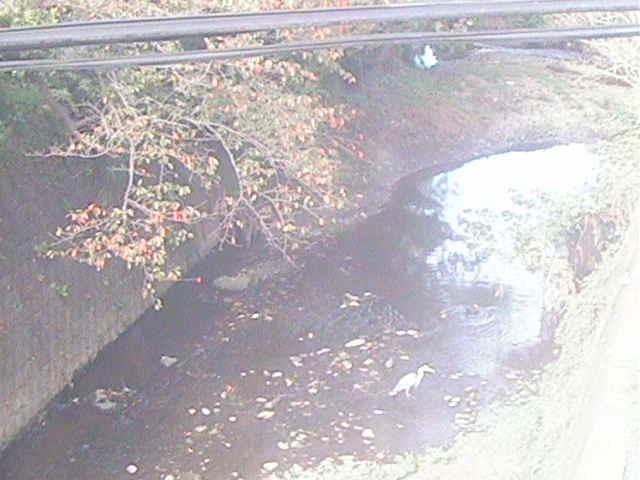 下小路橋付近のカメラ画像