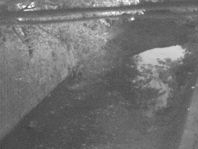 下小路橋付近のカメラ画像